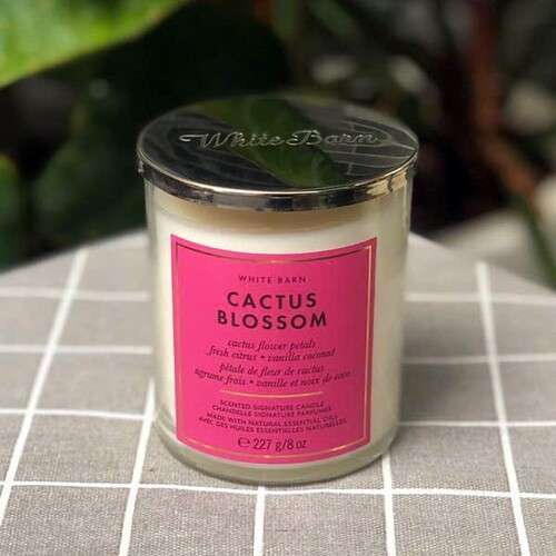 Bath and Body Works 1 Wick Candle - Cactus Blossom