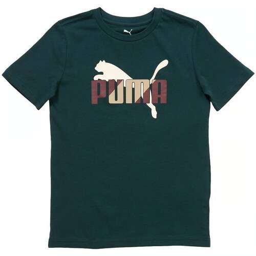 Boys Puma House of Graphics Tee